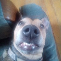 Non-Addicted Jane (@savedfinally) 's Twitter Profile