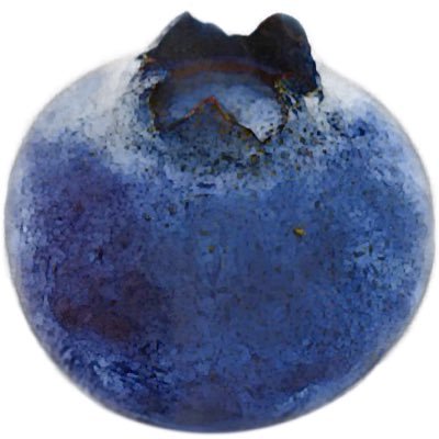 BlueberryIdeas Profile Picture