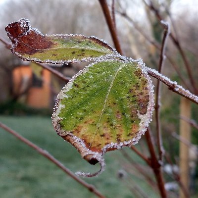 Mostly busy joyfully being alive. Rest: nudging past terror of getting it wrong.
Connection through #Poetry: https://t.co/FET89IHQrj