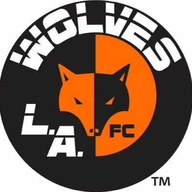 The Official Twitter of L.A. Wolves Football Club - a charter member of @UPSLsoccer ⭐ (Spring '17) #JoinThePack 🐺