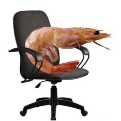 the shrimp pimp