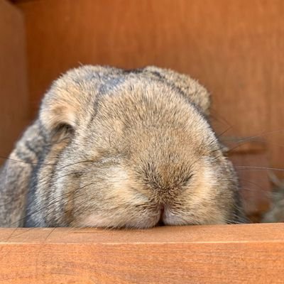 SharonLSim's profile picture. #together 💔 🙂