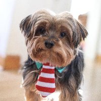 DRBIDENinflation 𝕏𝕏𝕏𝕏 #MAGA (@vjan09) 's Twitter Profile