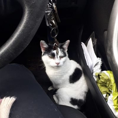 andrewatoxford's profile picture. andrewb