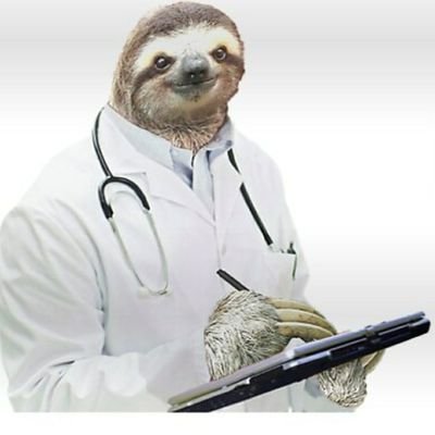 Dr_Slothy85 Profile Picture