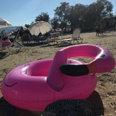 lap33's profile picture. 