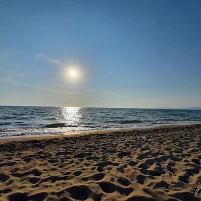 MarcellecraMa's profile picture. 