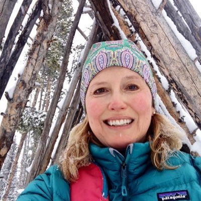 alisonjthayer's profile picture. Author of YA novels and adult short stories. When not writing and reading, can be found gamboling around the Rocky Mountains on skis, bikes, and boots.