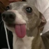 f4gpatrol's profile picture. room-temperature IQ.