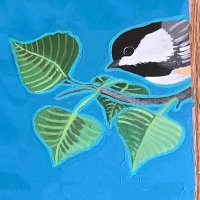 ABQ Backyard Refuge Program (@abqbrp) 's Twitter Profile