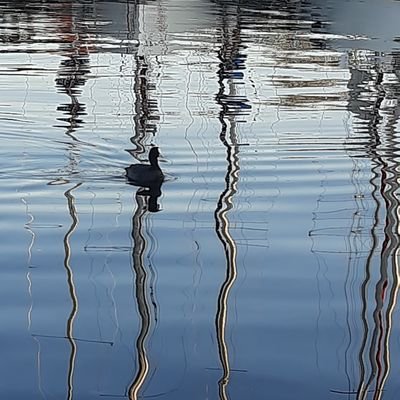 CC72853164's profile picture. 