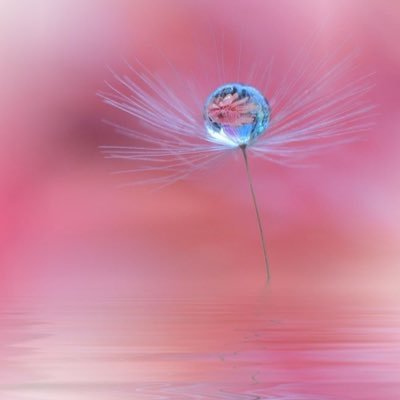 gin_sol's profile picture. Logic & Science, No Lists. When the freedom they wished for most was freedom from responsibility, then ‘they’ ceased to be free...” Edith Hamilton