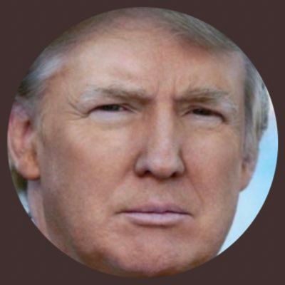 StopTheSteeal's profile picture. I stand with President Trump always! 🇺🇸🇺🇸❤️ #MAGA