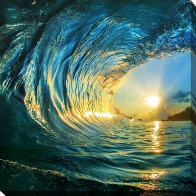KAguilar53's profile picture. No DMs 🚫