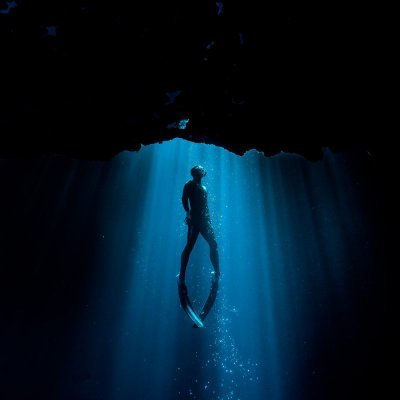 StrideurFR's profile picture. Monogatari / Hollow Knight  Supremacy.   

PSI BUFFON  into CentraleSupelec 

Plongeur/Apneiste