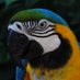 *** (@docviolet) Twitter profile photo *** (@docviolet) Twitter profile photo