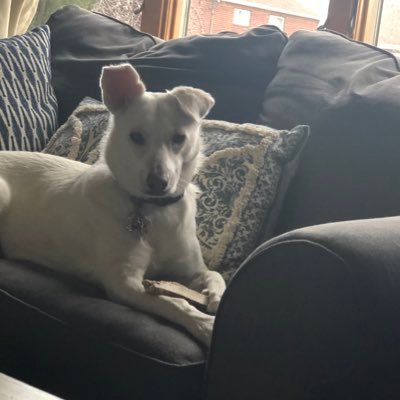 staceycassano's profile picture. Living the dream