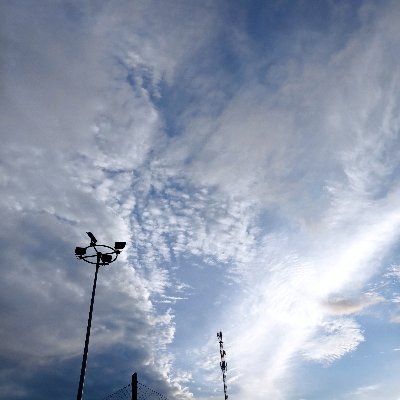 Geekout44910663's profile picture. 