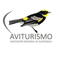 Aviturismo Guatemala(@AviturismoGuate) 's Twitter Profile Photo