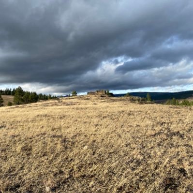 scrapper1111's profile picture. 