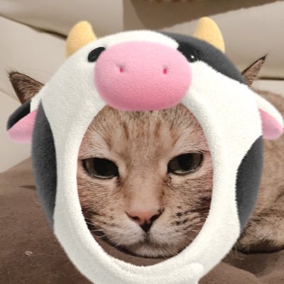 ぱぴこーんさんのプロフィール画像