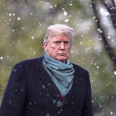 2011-2025 ©™ ‖ 👠 ‖ Conservative ‖ #MAGA 🔸Followback followers who support MAGA agenda. 🔸 🇺🇸 ‖ 🐕🐶🐩 ||