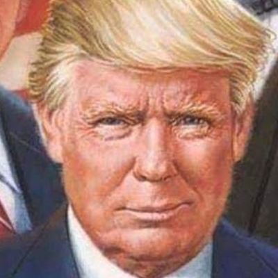 I tell it like it is. Proud to be followed by General Flynn!#MAGA #DRAINTHESWAMP
I follow back all patriots and believers. Thank you all for following me.