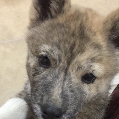 serna615's profile picture. Never forget about god