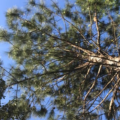 ts1989tourlat's profile picture. 