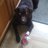 colbeer79's profile image