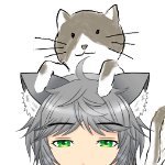 こねこまたたまさんのプロフィール画像