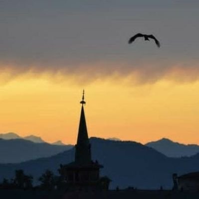 barakazi124's profile picture. Sopore Diaries 📖