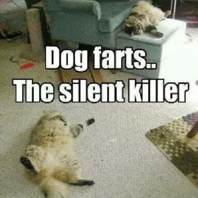 realcloudgeek1's profile picture. Technology lifer, Virtualization junkie, Cloud Systems student, author, believer in fun, God, and being the best I can be. Common sense advocate