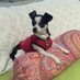 Sandra Dominguez (@sandrad69575124) Twitter profile photo Sandra Dominguez (@sandrad69575124) Twitter profile photo
