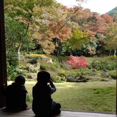 宜しくお願いします。DFFOOは本当に神ゲーでした。ウマ娘エンジョイ勢。無言フォローお気軽に。マリノス好き。命の尊さを噛み締める日々。