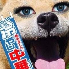 妄想家。肩ほぐして欲しい人。漢字TalkからMac使いでiPhone・iPad持ち。流れさすらうタダの犬。でも大のぬこ好き。 ※基本的に普段絡みの無い人からの非公式RTは苦手