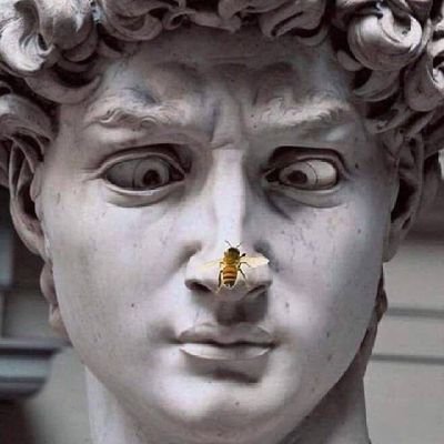 a_sefrizal's profile picture. soon to be awarde Turkey Burslari '24 || 🇹🇷