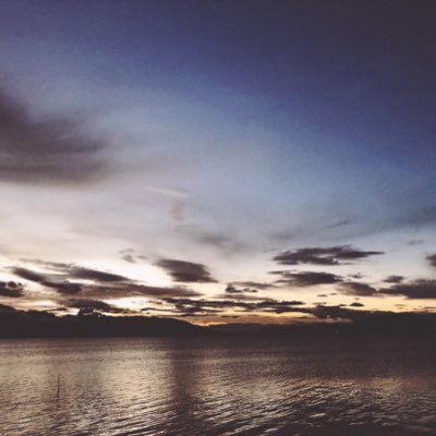 cckr167's profile picture. 无解