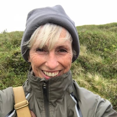 MPS1066's profile picture. 