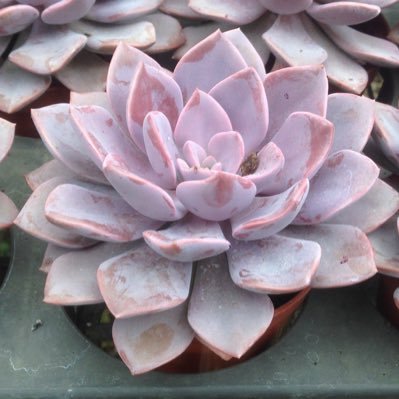 Author322's profile picture. 