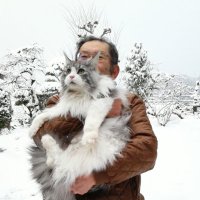 大いなる仙人 (@kenbow31677075) 's Twitter Profile