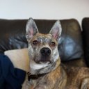 Bev STEPHENSON - @BevSTEP27793773 - Twitter