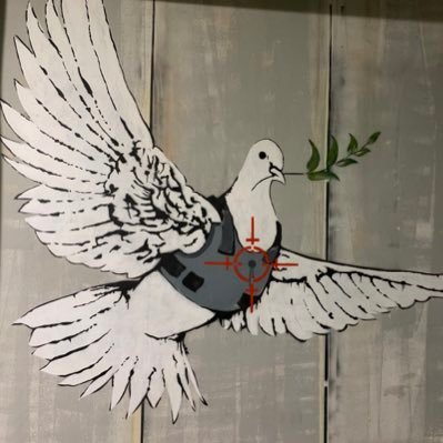 vullserlliure1's profile picture. 