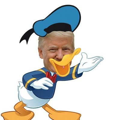 The real Donald Duck and not the former President of the United States #parody