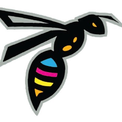 city_pressprint's profile picture. Co-owned by Andrew & Jeff. Supplying all types of private and commercial printing. Our logo wasp, like us; metaphorically speaking, builds its home from paper.