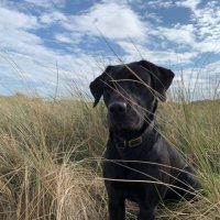 Paul Marsden ♂️ (@81mpaul) 's Twitter Profile Photo Paul Marsden ♂️ (@81mpaul) 's Twitter Profile Photo