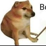 BonkLaw's profile picture. 