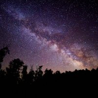 dharmam (@dharmam_savani) 's Twitter Profile