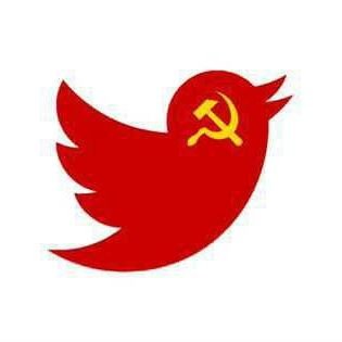 ChrisMcKnow's profile picture. Bla bla fish paste is twitters description really