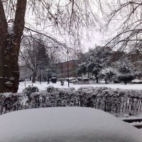 Fab (@fabriciouk) 's Twitter Profile